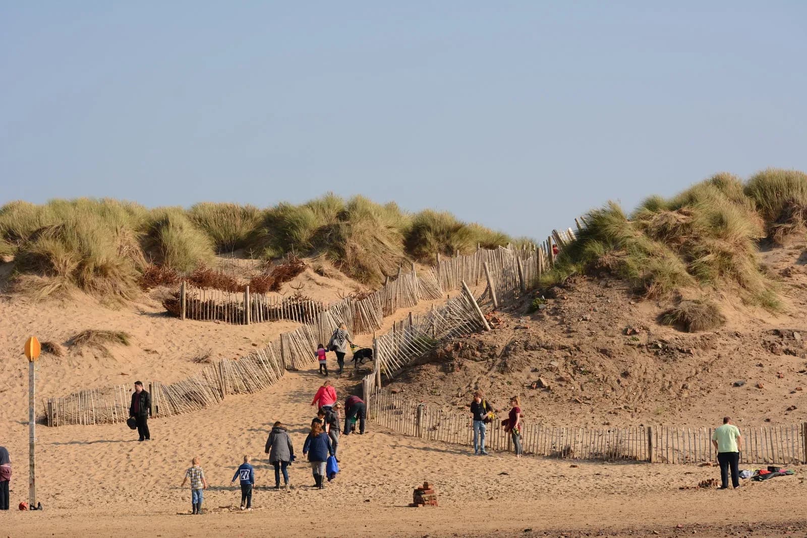 The path out from Formby beach, running between the dunes and the pinewoods.
