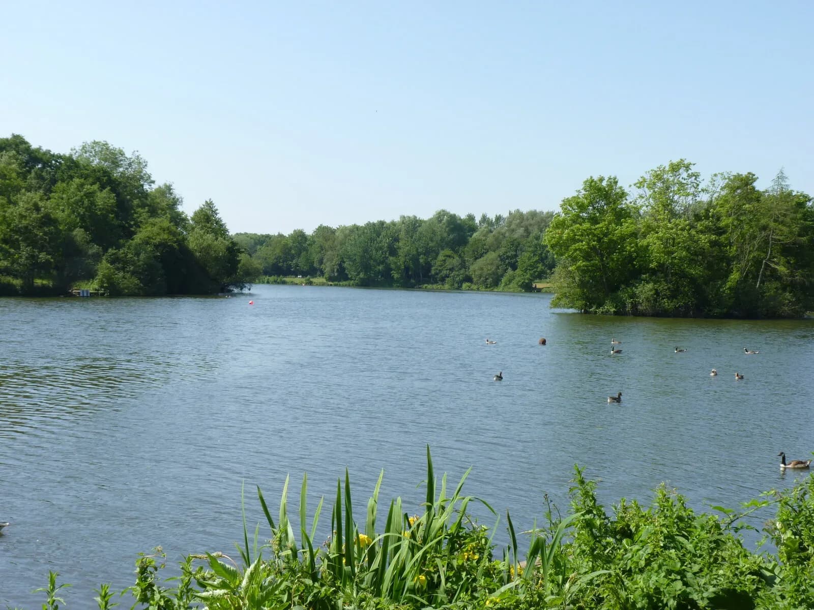 The lake at Arrow Valley Country Park in Redditch, with trees along the far bank.